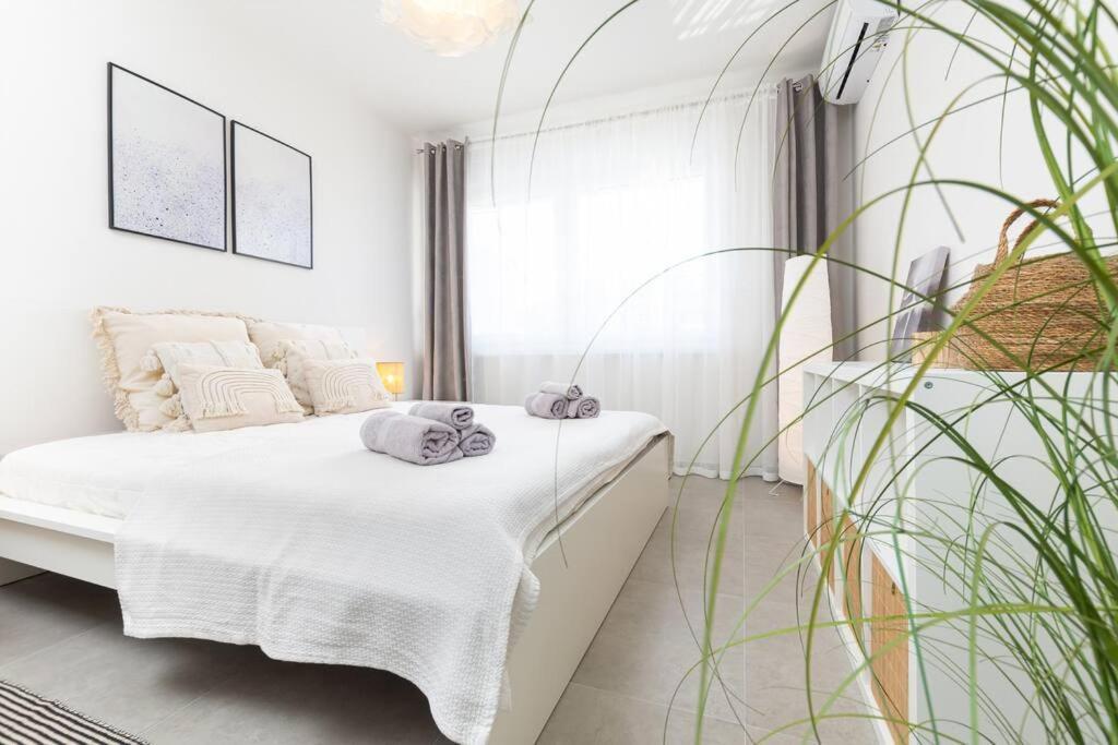 Apartmán Noa Pula